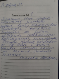 Отзыв о Шамсуновой А.С.