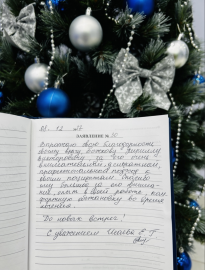 Отзыв о Божкове К.В.
