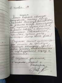 Отзыв о Стальновой А.В.