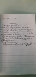 Отзыв о Стальновой А.В.