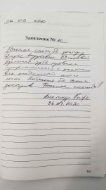 Отзыв о Боржовой Д.А.