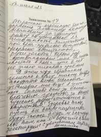 Отзыв о Плюснине Д.И.