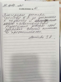 Отзыв о Громовой Е. А.
