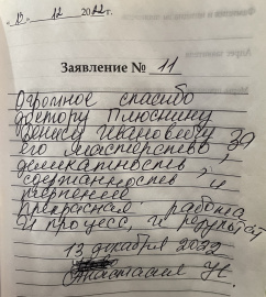 Отзыв о Плюснине Д.И.