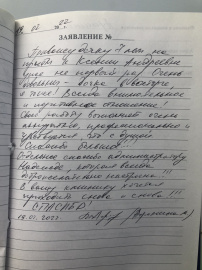 Отзыв о Голопуровой К.А.