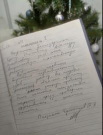 Отзыв о Нагибине А.Н.