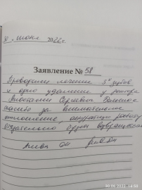 Отзыв об Ивановой А.С.